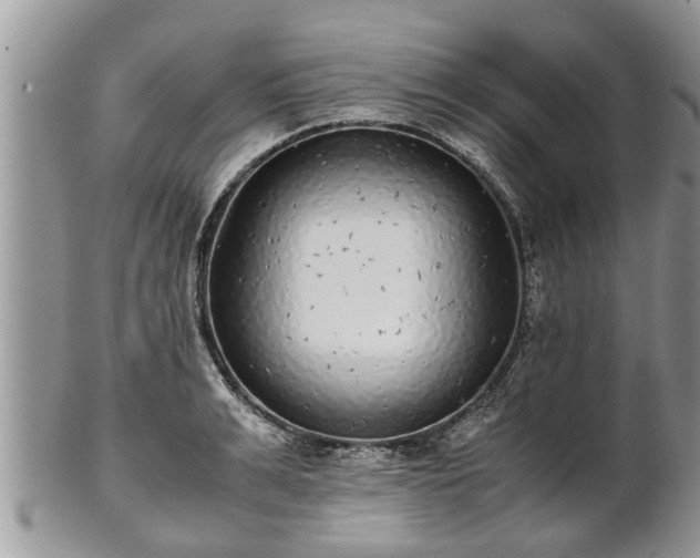 X0000102270991200808011423