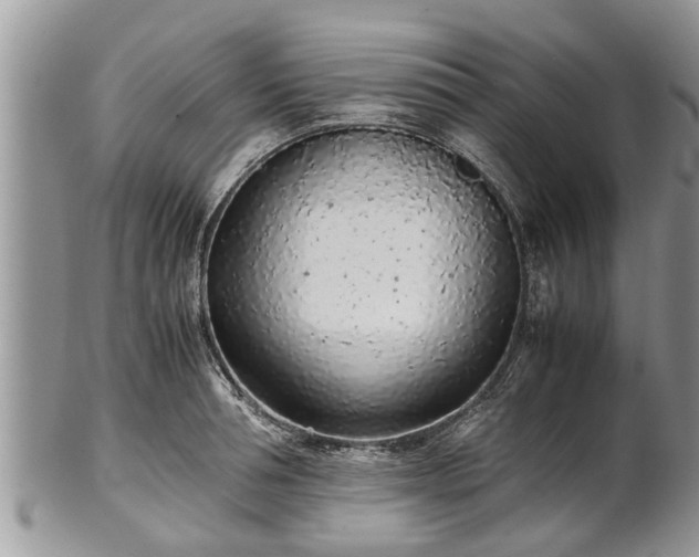 X0000102270994200808011423