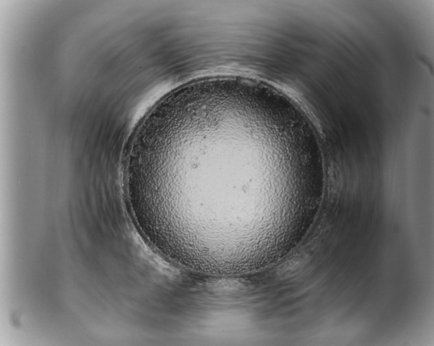 X0000102270998200808011423