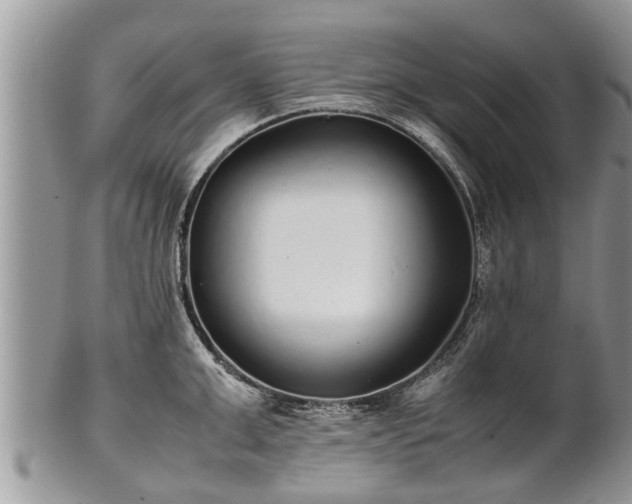 X0000102270999200808011423