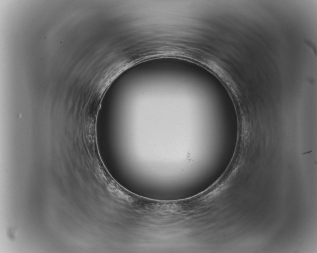 X0000102271001200808011423