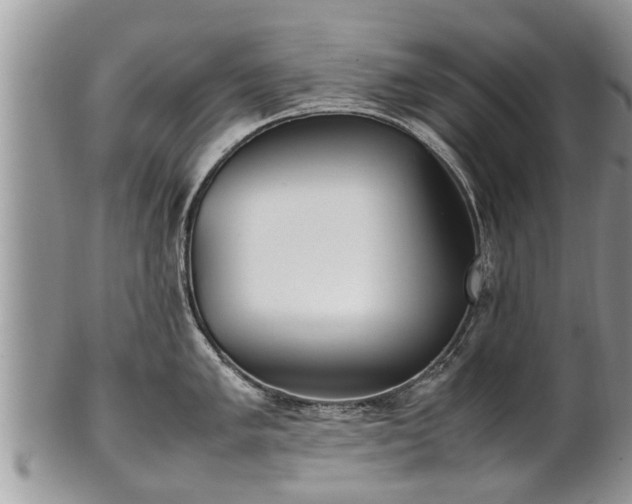 X0000102271005200808011423