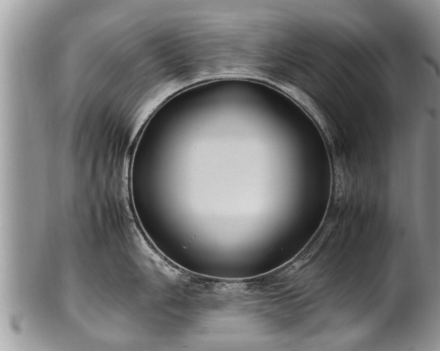 X0000102271006200808011423