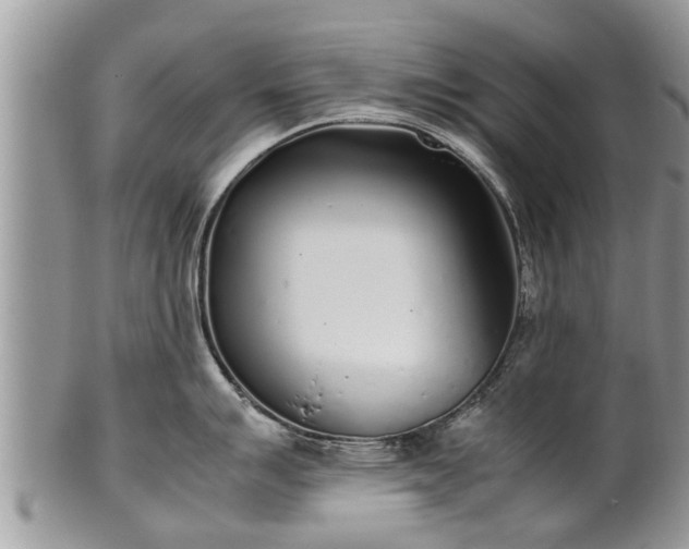 X0000102271007200808011423