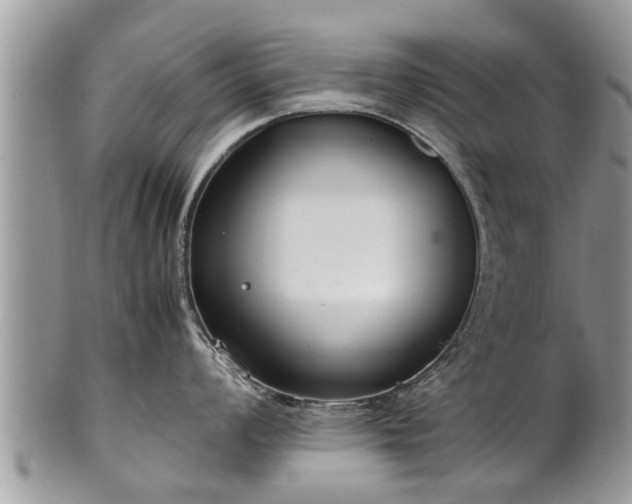 X0000102271008200808011423