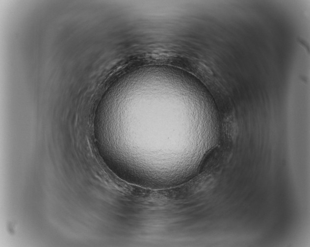 X0000102271009200808011422