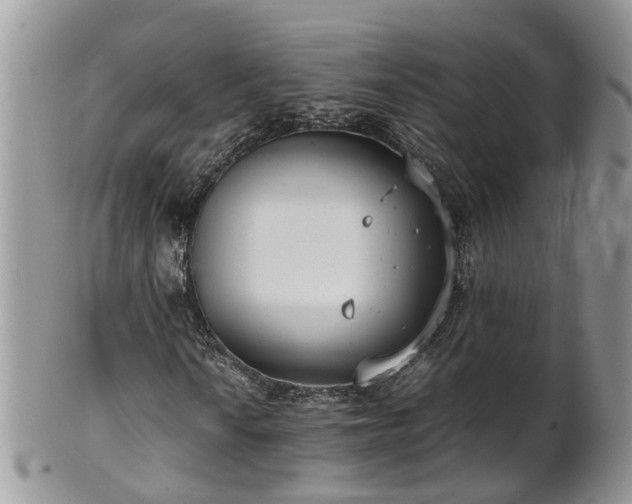 X0000102271010200808011422