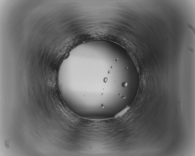 X0000102271012200808011422