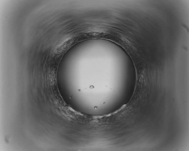 X0000102271014200808011422