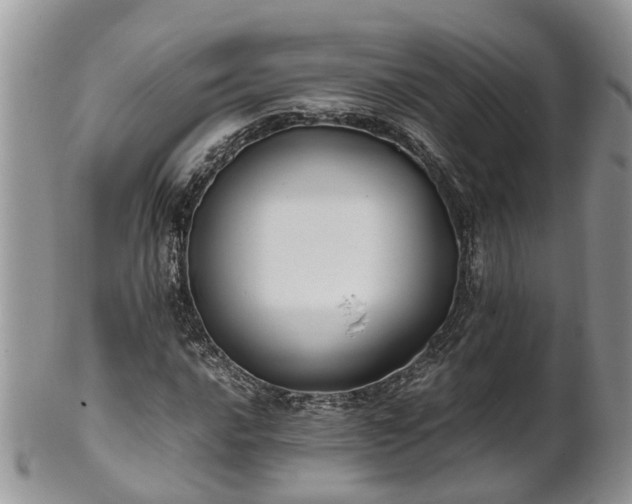 X0000102271016200808011422