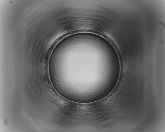 X0000102271019200808011423