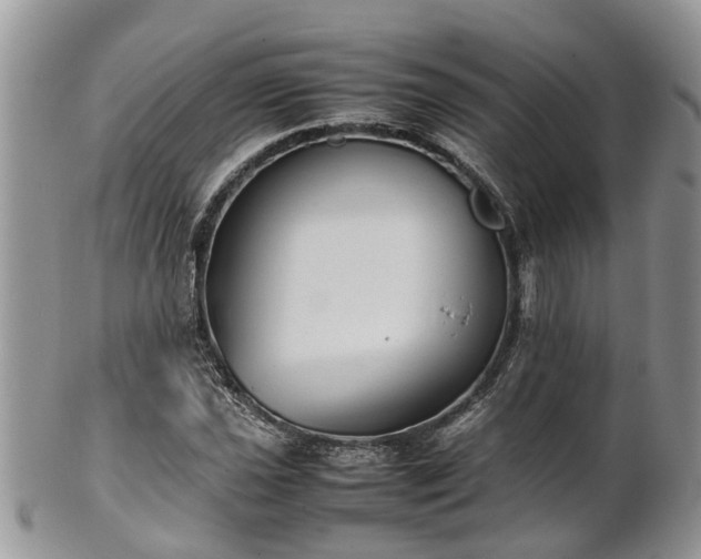X0000102271021200808011423