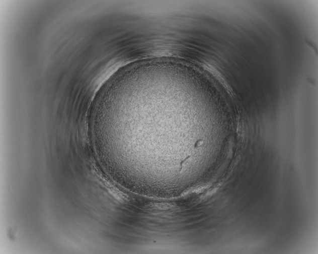 X0000102271023200808011423