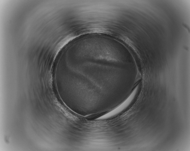X0000102271024200808011423