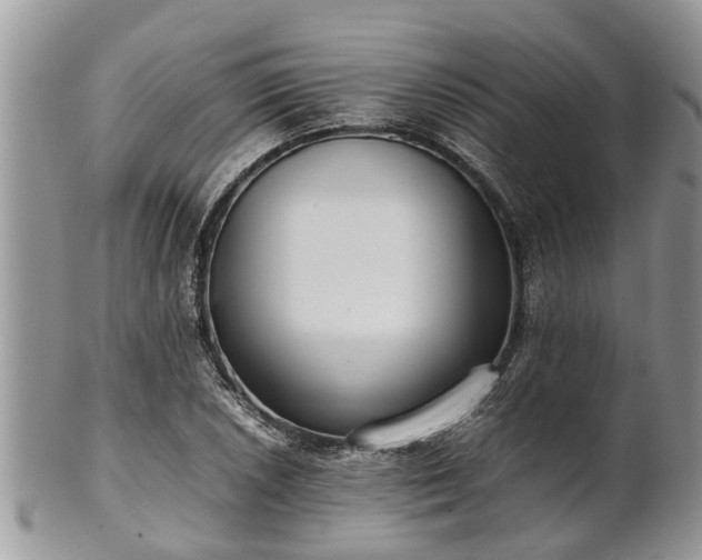 X0000102271026200808011423