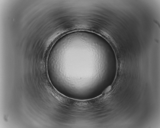 X0000102271027200808011423