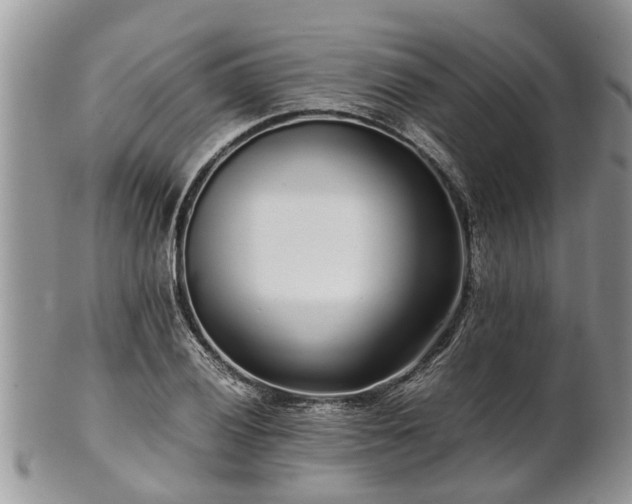 X0000102271028200808011423