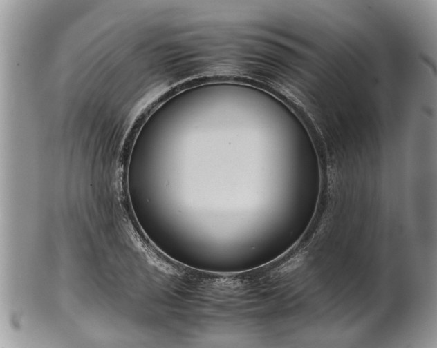 X0000102271029200808011423