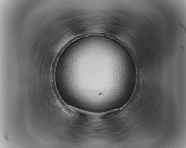 X0000102271031200808011423
