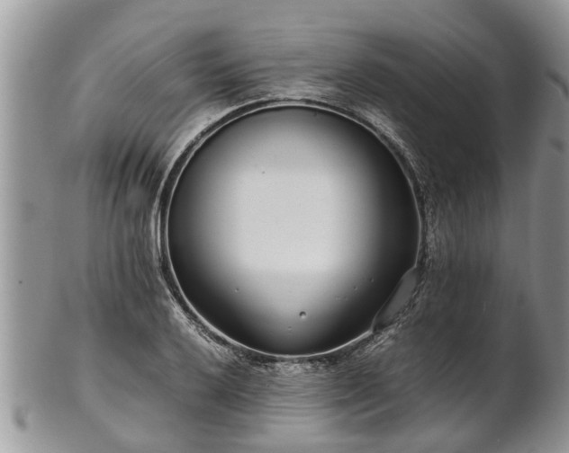 X0000102271032200808011423