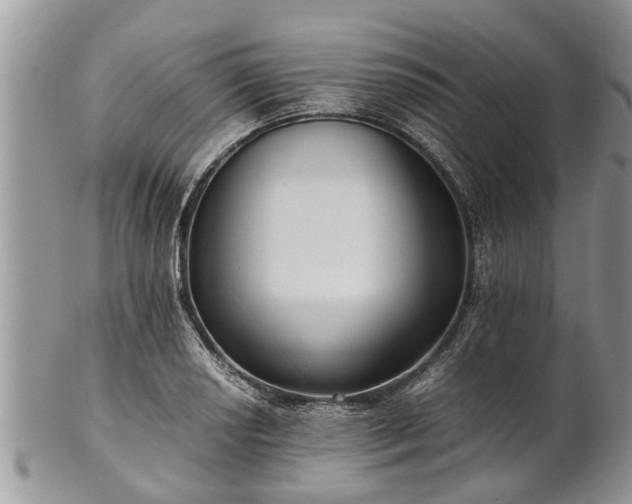 X0000102271034200808011423