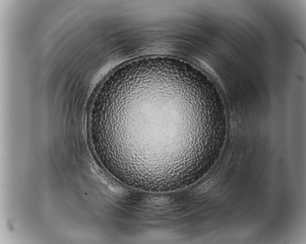 X0000102271035200808011423