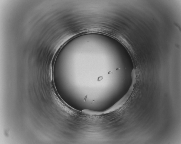 X0000102271036200808011423