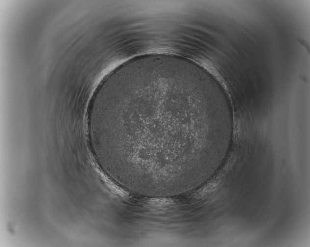 X0000102271037200808011423