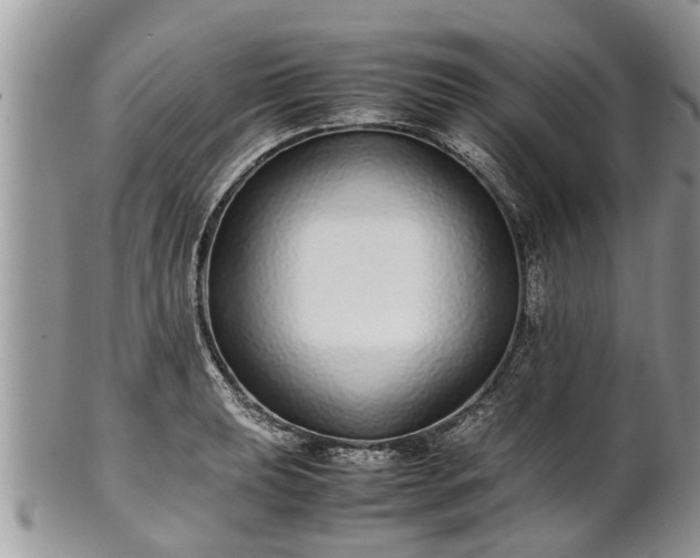 X0000102271039200808011423