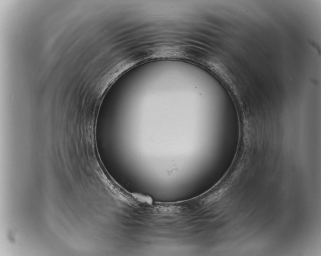 X0000102271041200808011423