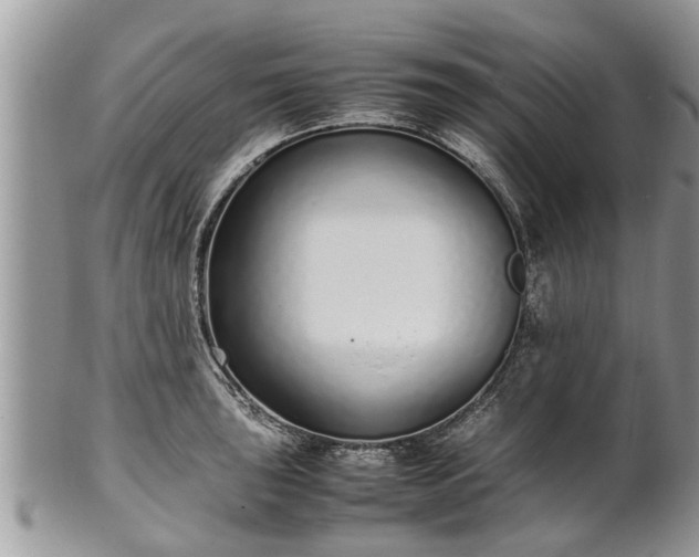 X0000102271043200808011423