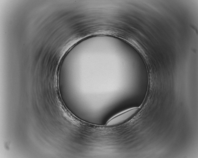 X0000102271044200808011423