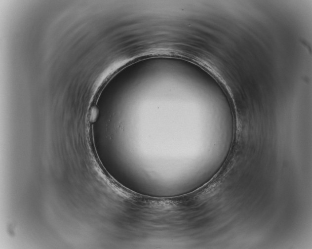 X0000102271045200808011423