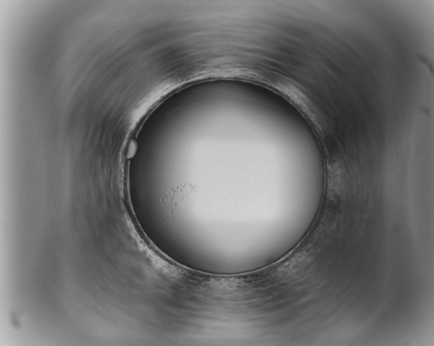 X0000102271046200808011423