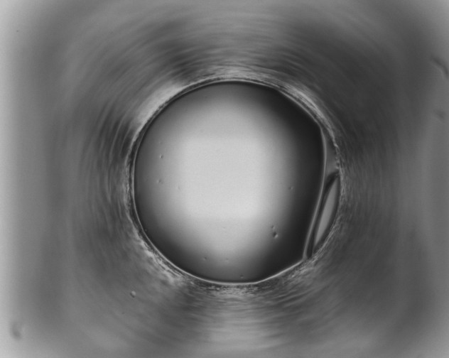 X0000102271048200808011423