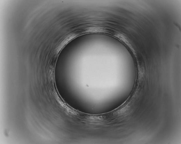 X0000102271049200808011423