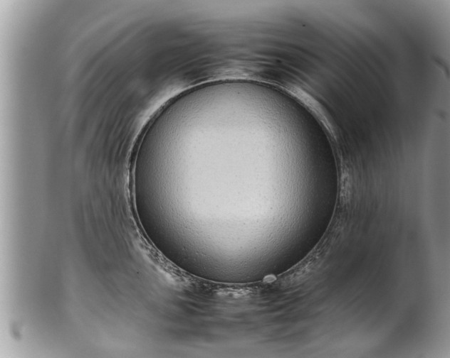 X0000102271051200808011423