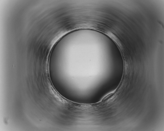 X0000102271052200808011423
