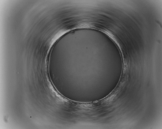 X0000102271053200808011423