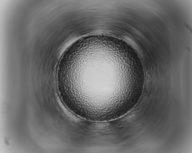 X0000102271055200808011423