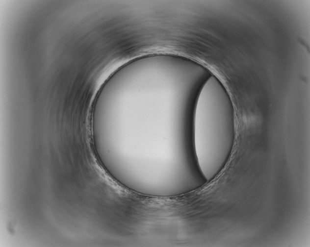 X0000102271056200808011423
