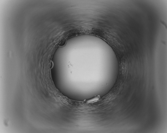 X0000102271057200808011422