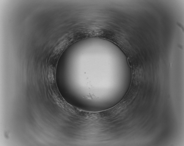 X0000102271058200808011422