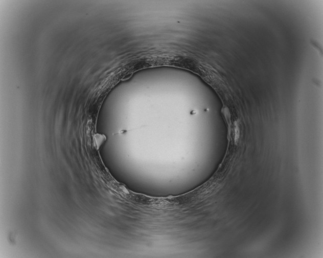 X0000102271059200808011422