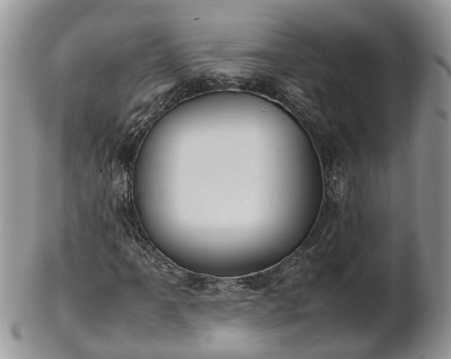 X0000102271061200808011422