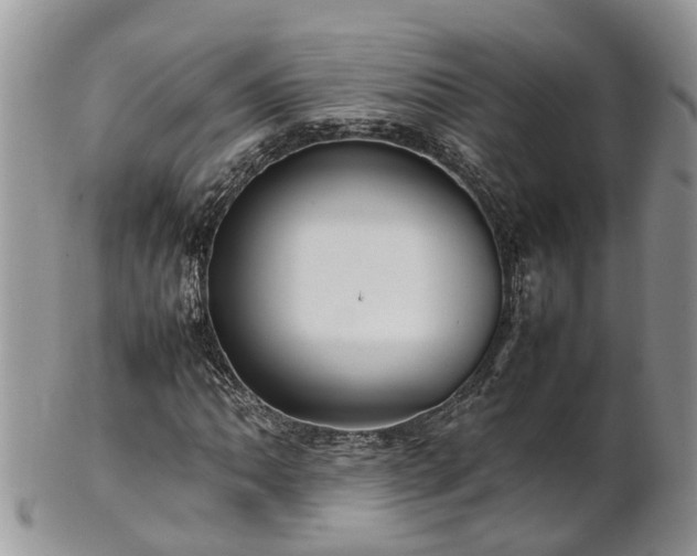 X0000102271062200808011422