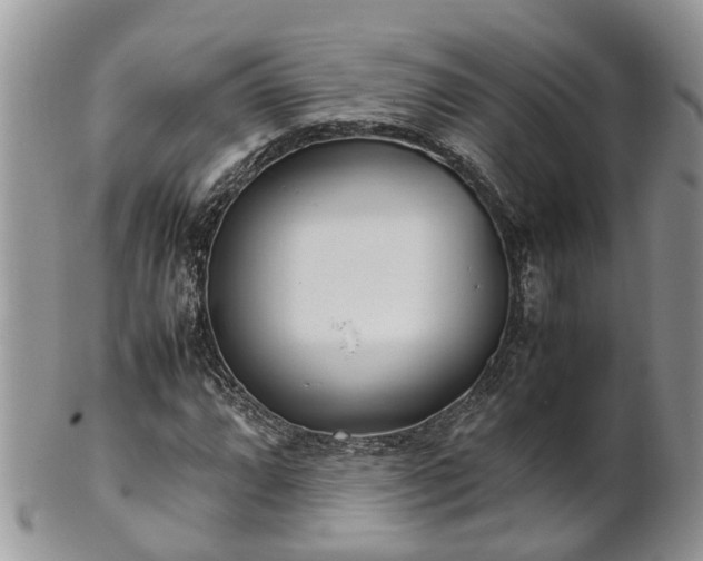 X0000102271064200808011422