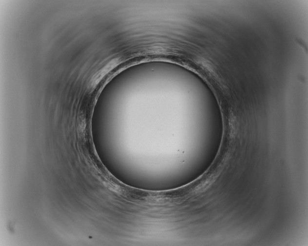 X0000102271065200808011422
