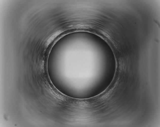 X0000102271066200808011422