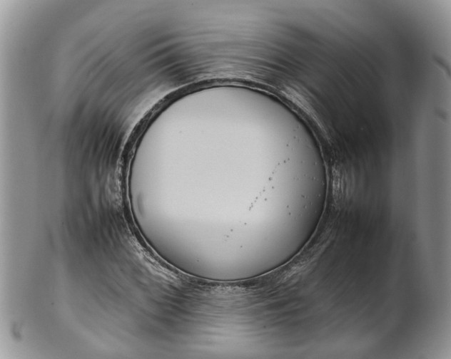 X0000102271068200808011422